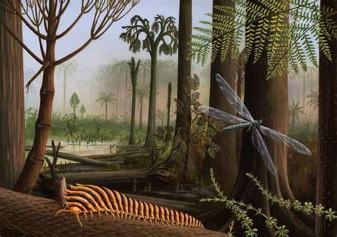 carboniferous period giant insects